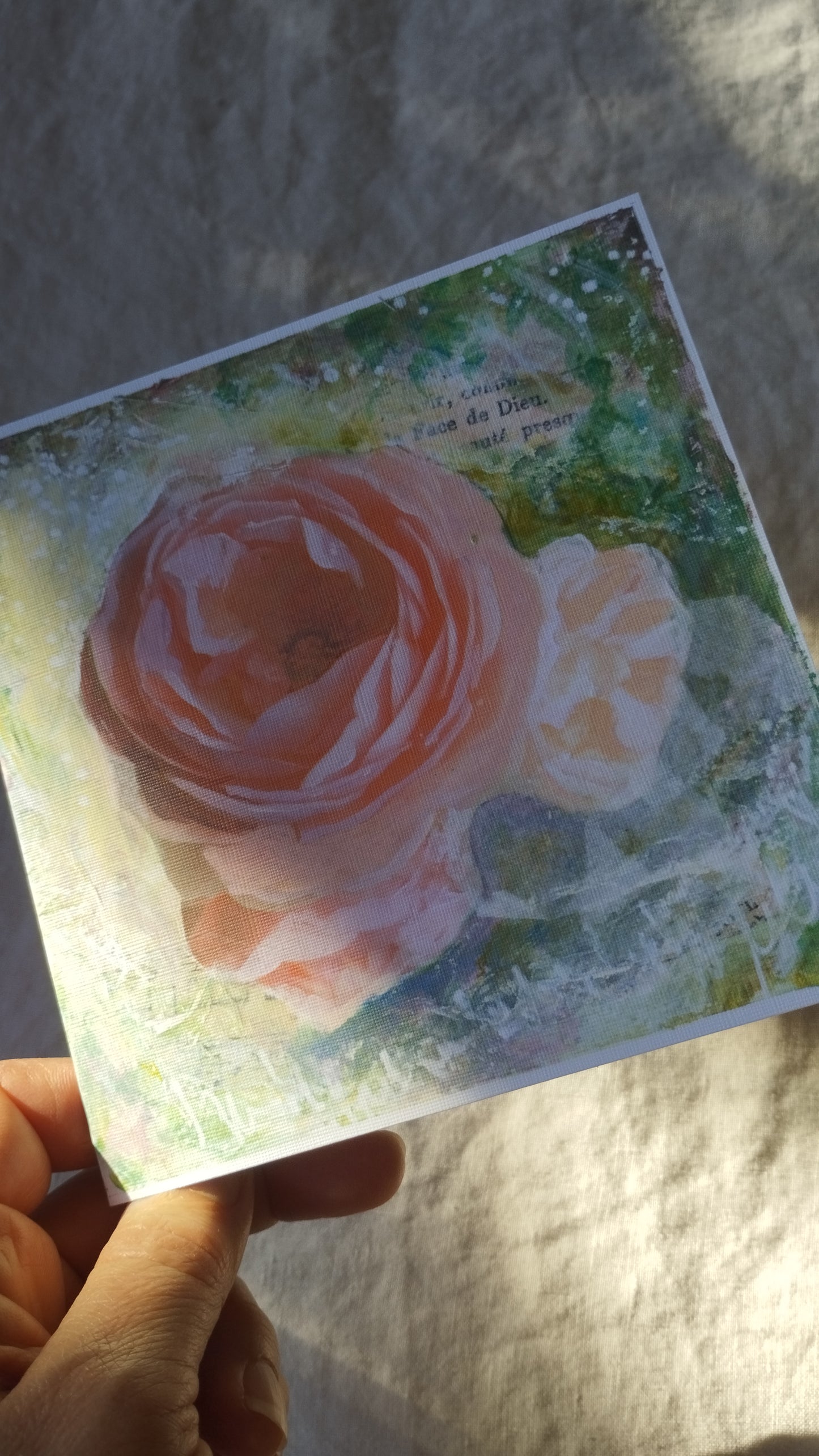 Wild Rose 6, Roselyne, Print