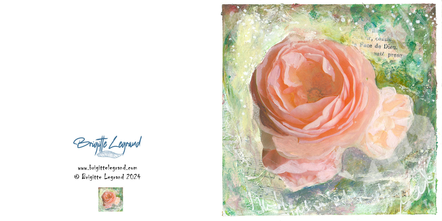 Free Wild Rose6