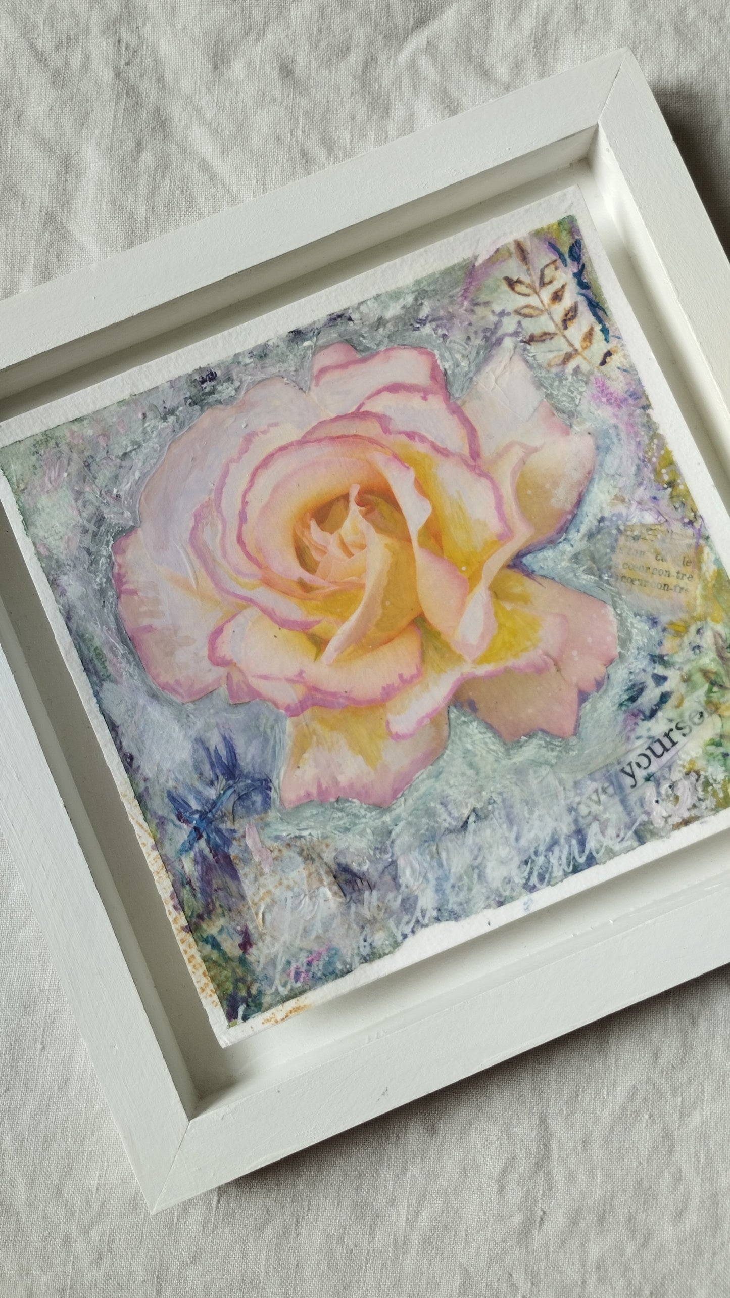 Wild Rose 11, Berthe