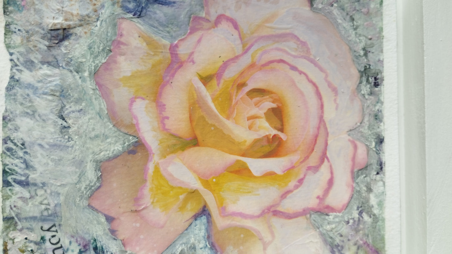 Wild Rose 11, Berthe