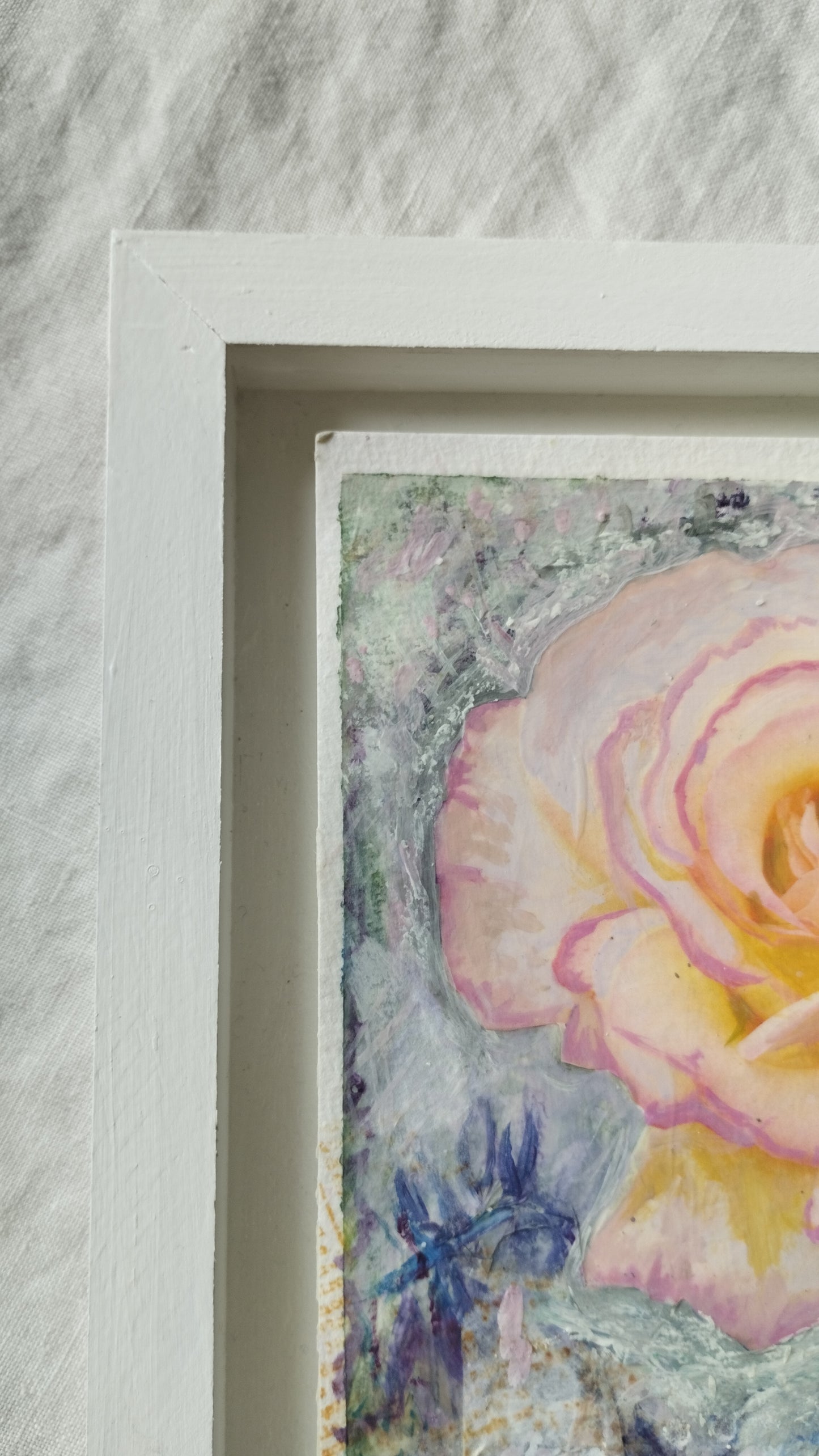 Wild Rose 11, Berthe