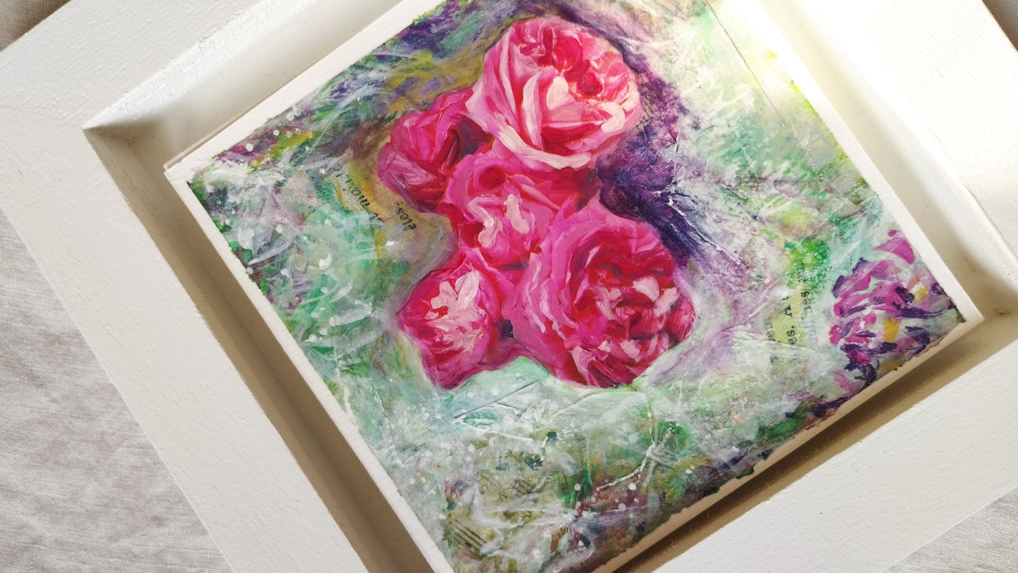 Wild Rose 10, Eugénie
