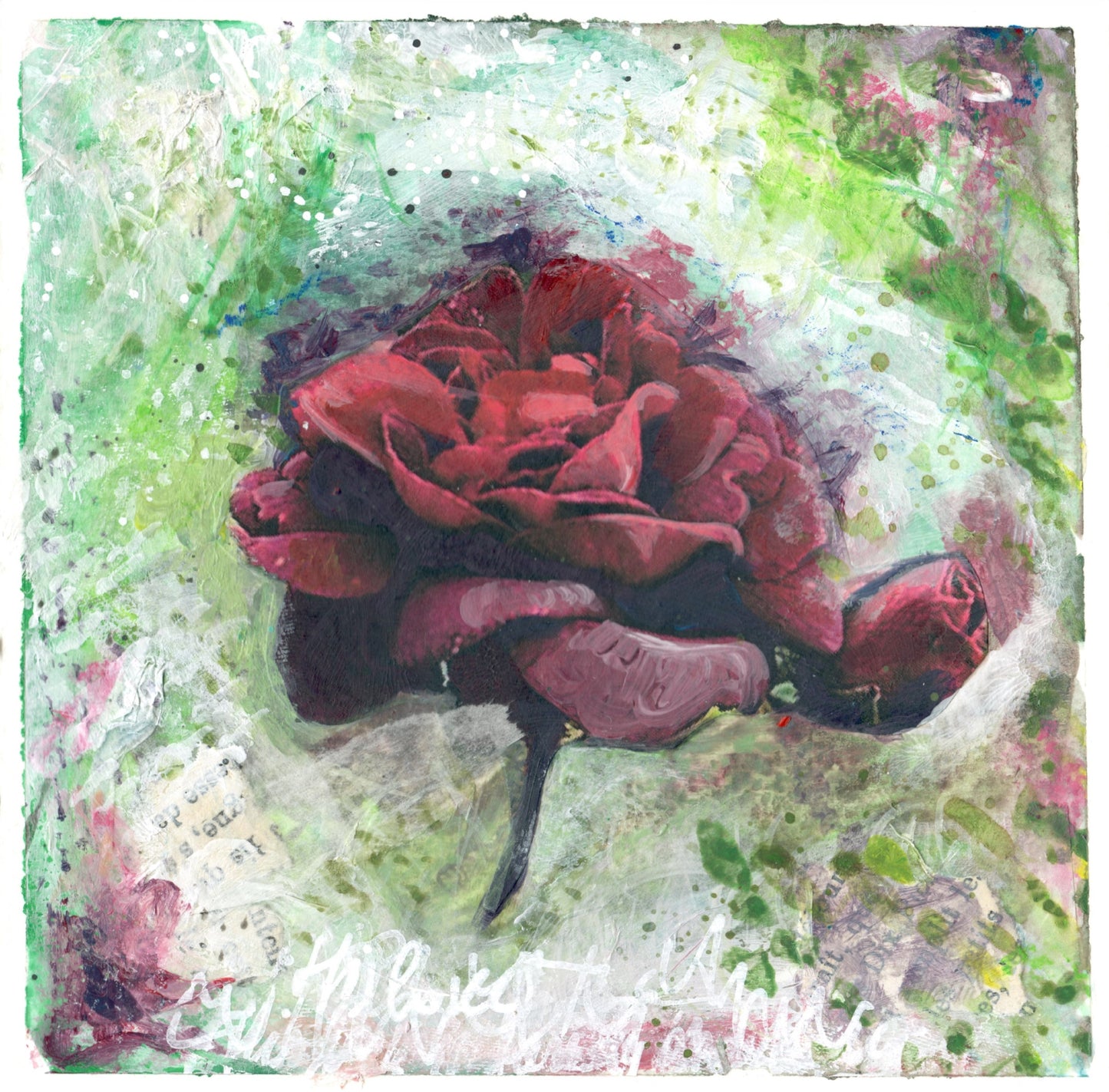Wild Rose 1, Constance
