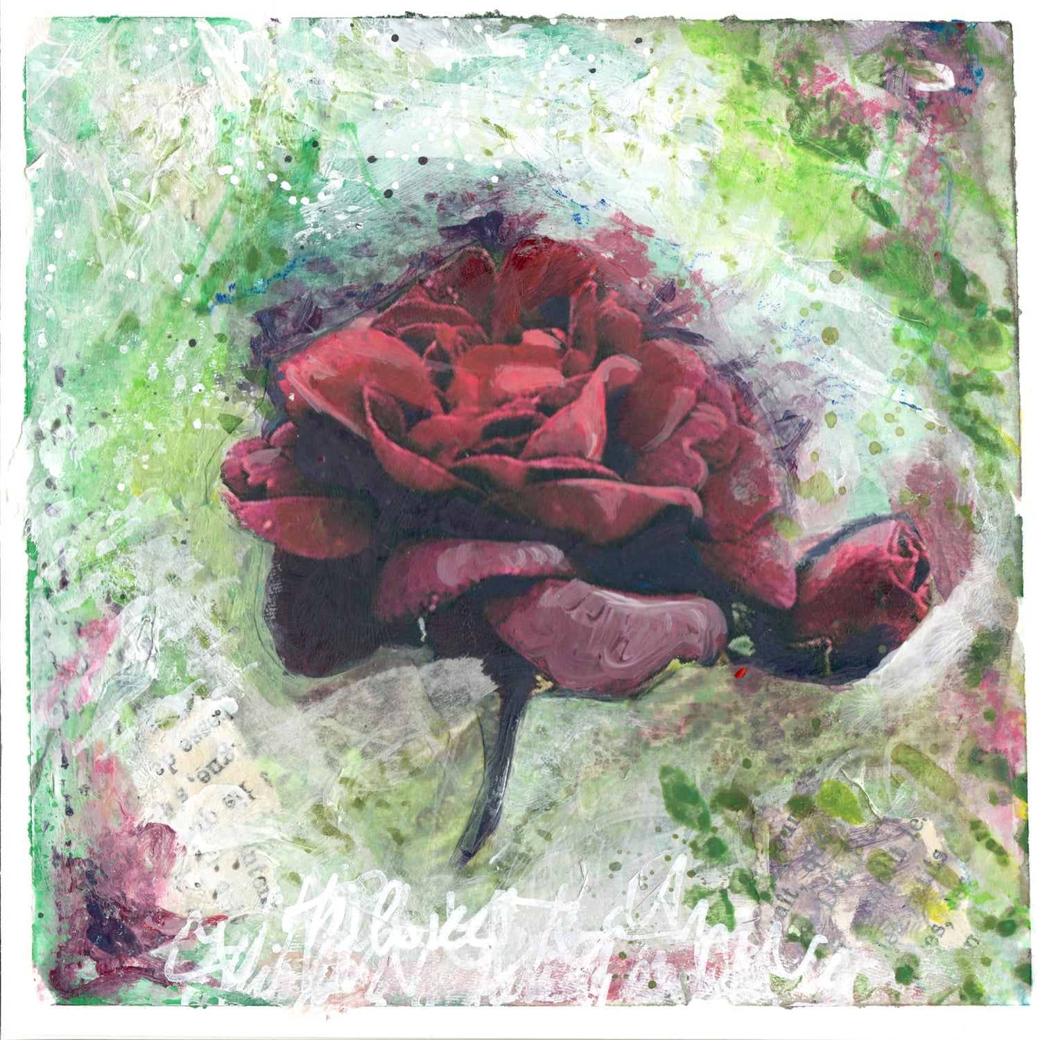 Wild Roses, the presence of beauty