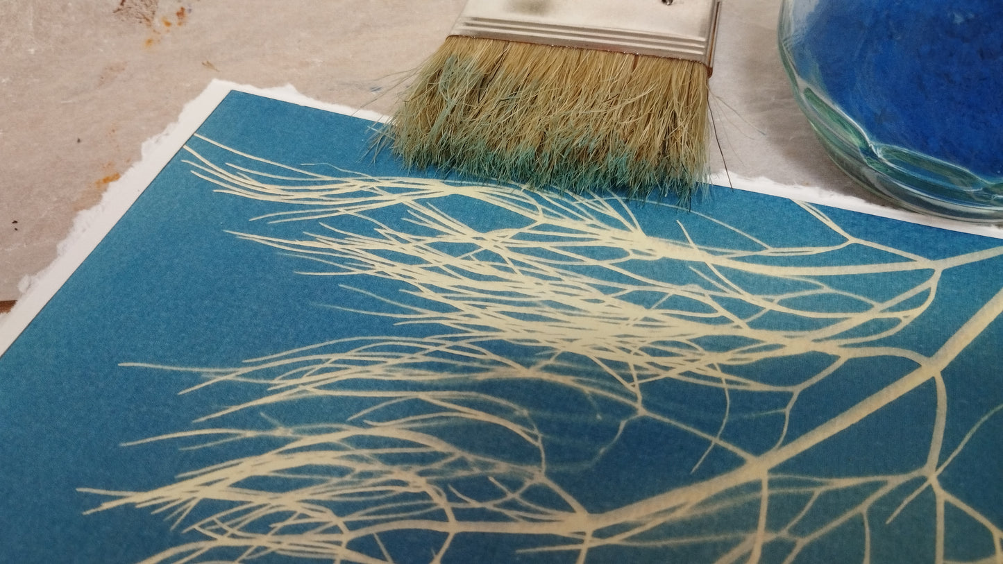 Atelier Créatif Cyanotypes