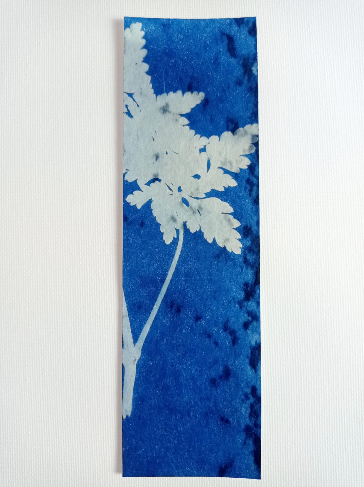 Marque pages Cyanotypes